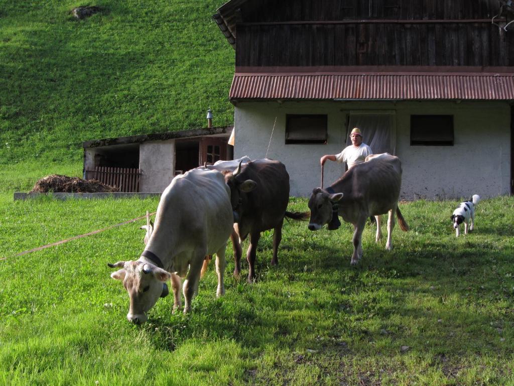 Ferienstudio In Unterschaechen Cameră foto